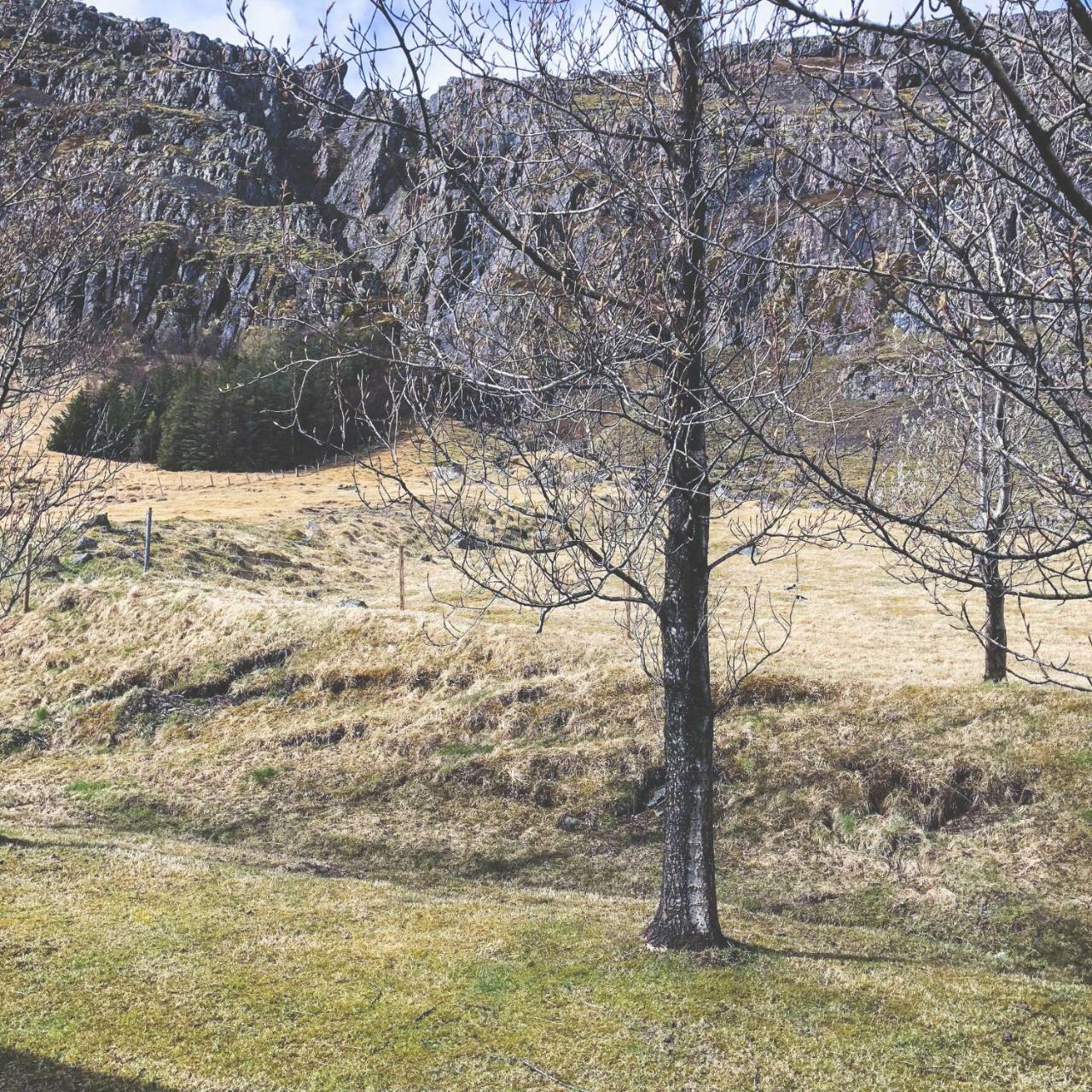 Guesthouse Skálafell Buitenkant foto
